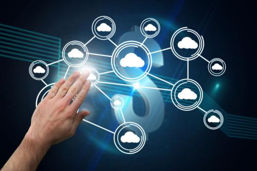 云南零猫科技 赋能本土企业，乘互联网东风振翅高飞